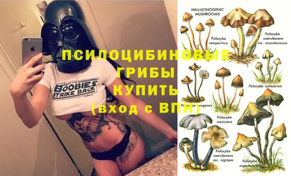 хмурый Богданович