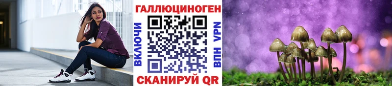 закладка  Волжск  Псилоцибиновые грибы прущие грибы 